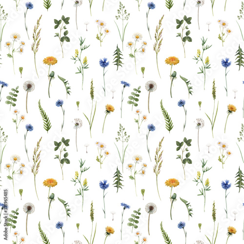 Beautiful floral summer seamless pattern with watercolor hand drawn field wil...