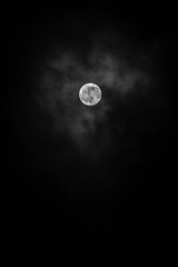 Wall Mural - full moon at black background