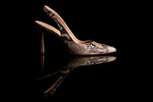 Snake Print Women's Shoe On Black Surface. The Photo Is Taken In A Photo Studio With Flash Light Illuminating The Shoes And On A Black Background