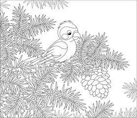 Wall Mural - Crossbill with a big cone on a prickly branch of a fir tree in a wild forest, black and white vector cartoon illustration for a coloring book page