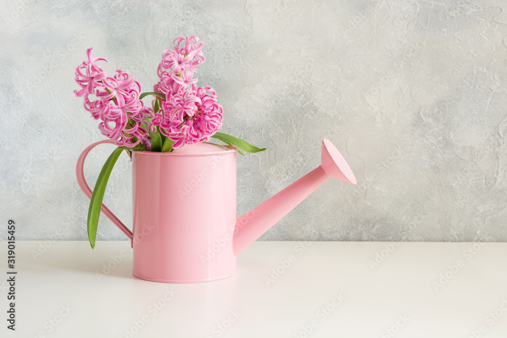 Decorative watering can with pink hyacinths. Gardening. - obrazy, fototapety, plakaty 