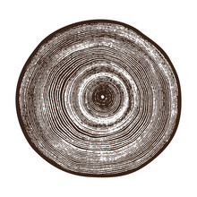 Monotone Wood Texture Stamp. Detailed Tree Ring Design. Rough Organic Tree Rings With Close Up Of End Grain.