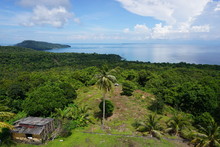 Amazing View Of The Undeveloped Island, Forest, Palm Tree And A Wooden Hut
