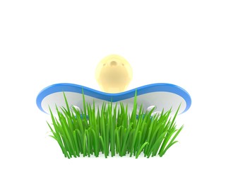 Canvas Print - Baby dummy on grass