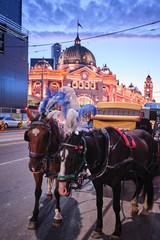 Melbourne, Victoria / Australia - January 26 2020: Flinders Street Station and church with light trails, car trails, trams, cars and tourists at blue hour