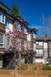 Brand new apartment building on sunny day in spring with blooming trees in British Columbia, Canada.
