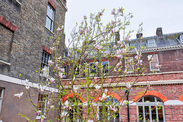 Wall Mural - Spring in Kensington, London, UK