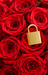 Poster - Love lock for Valentines Day card, golden padlock and luxury bouquet of roses on red background