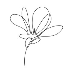 Wall Mural - Magnolia flower in continuous line art drawing style. Minimalist black linear sketch isolated on white background. Vector illustration