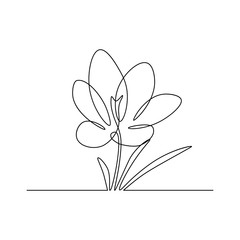 Wall Mural - Spring crocus flower in continuous line art drawing style. Minimalist black linear sketch on white background. Vector illustration