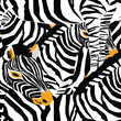 Zebra's seamless pattern. Vector illustration of zebras stripes