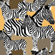 Zebra's seamless pattern. Vector illustration of zebras on beige and yellow background