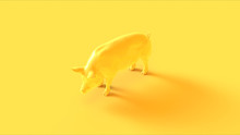 Yellow Pig 3 Quarter Left View 3d Illustration 3d Render
