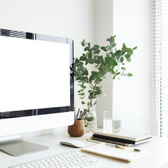 Cropped image of modern electronic devices, office accessories, keyboard and fresh green plant on white desk of web developer. Business, creativity, technology, workspace and gadgets concept