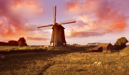 Wall Mural - Dutch windmill	