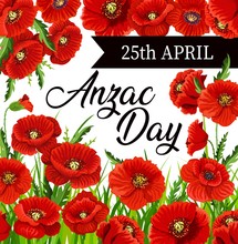 Anzac Day Poppies Vector Design Of Australia And New Zealand Army Soldiers Day. Red Flowers With Black Memorial Ribbon, World War Veterans National Memorial Anniversary