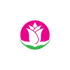 Wall Mural - Vector illustration icon of beautiful tulips with white background