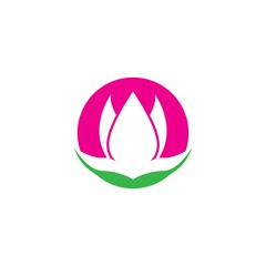 Wall Mural - Vector illustration icon of beautiful tulips with white background