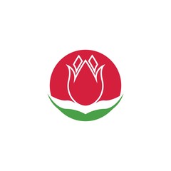Wall Mural - Vector illustration icon of beautiful tulips with white background