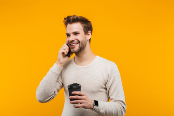 Wall Mural - Attractive young man wearing pullower standing