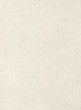 © Serhii  Holdin - rough paper texture white shade