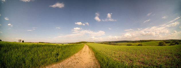 country road through the fields