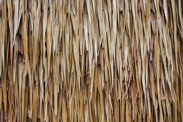  Nipa Palm Wall