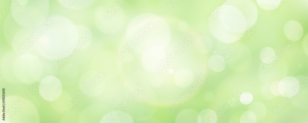 A fresh spring green garden foliage background with blurred bokeh. - obrazy, fototapety, plakaty 
