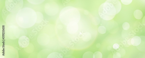 Fotomural A fresh spring green garden foliage background with blurred bokeh