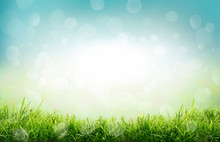 A Natural Spring Garden Background Of Fresh Green Grass And Blurred Blue Sky Bokeh