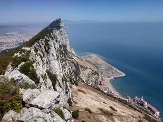 Monkey on panoramic view on the Gibraltar and Big Rock at sunny summer weather