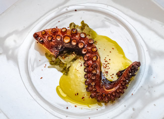 Wall Mural - A plate of grilled octopus at gourmet restaurant