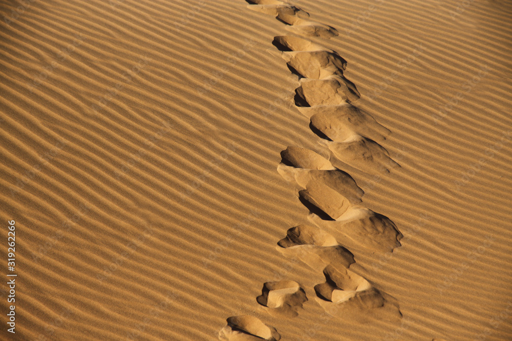 ślady wielbłąda na piasku na pustyni namib w namibii - obrazy, fototapety, plakaty 