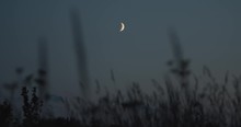 Looking At Young Moon From Meadow In Summer Night Sky Point Of View Shot