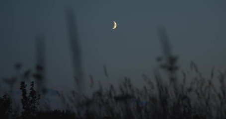 looking at young moon from meadow in summer night sky point of view shot