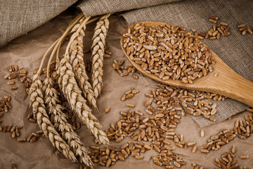 Wall Mural - grains and ears of wheat on Kraft paper and burlap