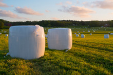 Hay Bales Sunset Summer - Landscape Picture Of Fields With Drying Crops On The Countryside During Sunset - Concept Of Agriculture Business And Environmental Change In Amount Of Production.