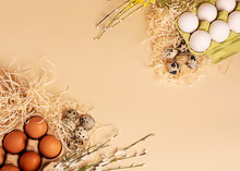 Tender Easter Background. White And Brown Chicken Eggs In A Cardboard Egg Tray, Quail Eggs, Spring Flowers On The Beige Background. Frame, Copy Space, Top View