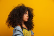 © Nexa - Beauty portrait of african american woman with afro hairstyle and glamour makeup. Brazilian woman. Mixed race. Curly hair. Hair style. Yellow background.