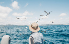 Man On Back Of Boat Looking At Seagulls Fishing With Coastline In The Background