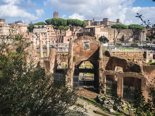 Wall Mural - View of the Roman Forum from the Capitoline Hill. Rome, Italy