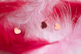 Fototapeta Tulipany - confetti on a pink background with red feathers