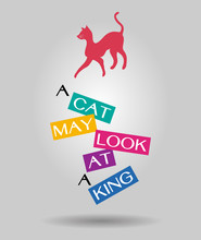 A Cat May See A King. An English Proverb With Cat Icon Vector Banner.