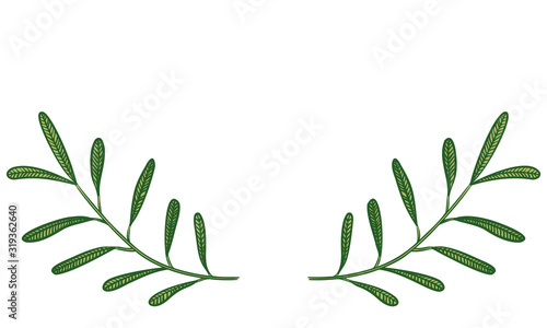 植物のイラスト 見出し飾り 葉っぱ 葉脈 実なし Buy This Stock Vector And Explore Similar Vectors At Adobe Stock Adobe Stock