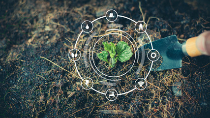 Wall Mural - Tree planting equipment and Red bucket watering the plants with environment Icons over blurred green nature background.growing plant for save the earth concept.World environment day concept