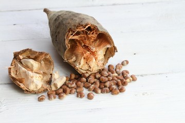 Baobab fruit, pulp and seeds.   Baobab, ,  Adamsonia digitata, from Africa on the white wooden table