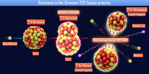 Wall Mural - Reactions in the Uranium-235 fission process (3d illustration)