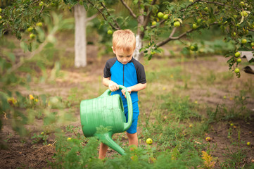 A boy watering flowers and a vegetable garden with a watering can. The boy helps with the summer garden. Children's games with water in the backyard.