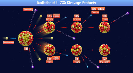 Canvas Print - Radiation of U-235 Cleavage Products (3d illustration)