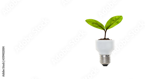 Obraz na plátně Light Bulb with sprout. Mixed media